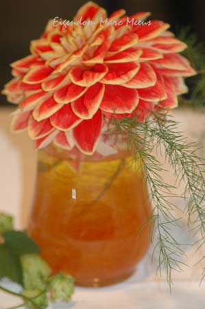 Feest Marc en Lia 003